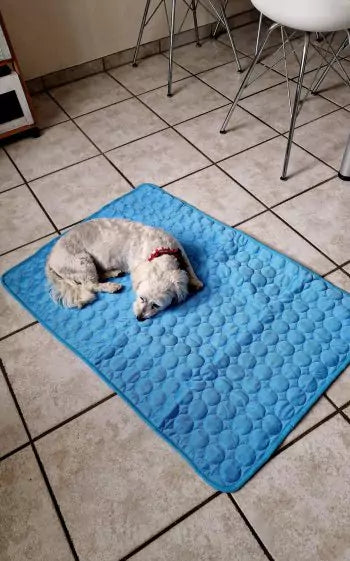 Tapis Lymora pour animaux