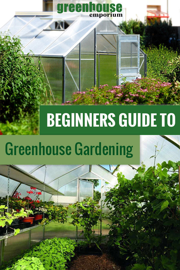  Start a Small Greenhouse Garden, Easy Steps