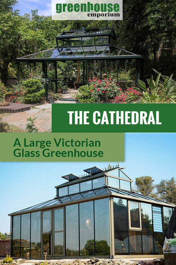 Janssens Cathedral Victorian Greenhouse with the text: The Cathedral - A Large Victorian Glass Greenhouse
