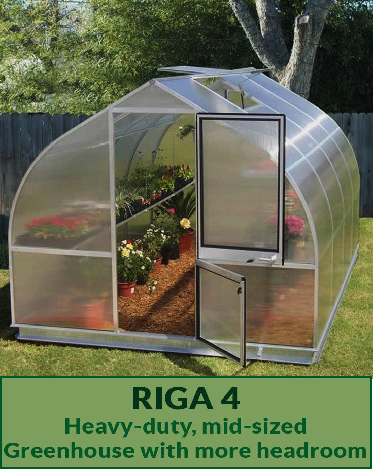Hoklartherm Riga 4 Greenhouse exterior view with open doors showing plants inside with the Text Riga 4 Heavy-duty, mid-sized Greenhouse with more headroom
