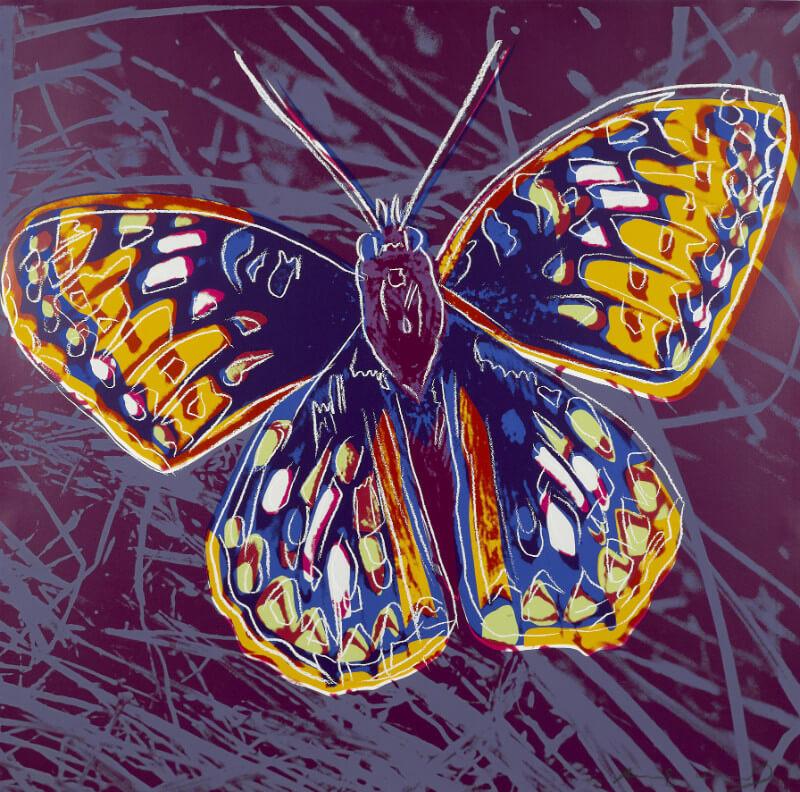 Andy Warhol - Endangered Animal Series San Silverspot - Canvas Prints by Andy Warhol | Buy Posters, Frames, Canvas & Digital Art | Small, Compact, and Large Variants