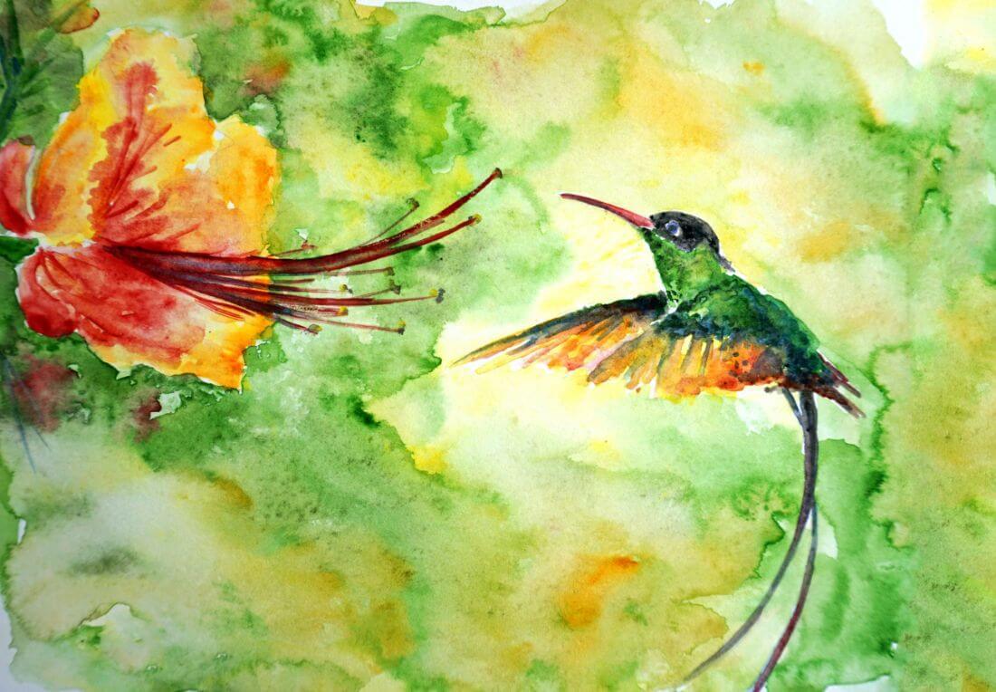 Colibri Hummingbird - Colorful Painting - Bird Wildlife Art Print ...