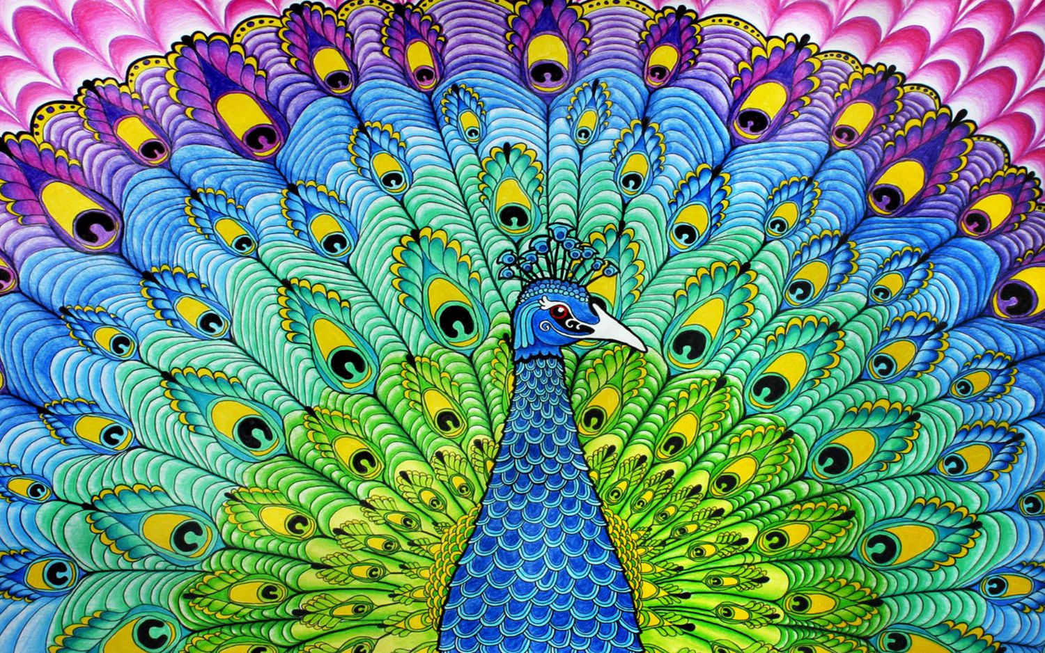 Colorful Peacock Art - Posters by Hamid Raza | Buy Posters, Frames ...