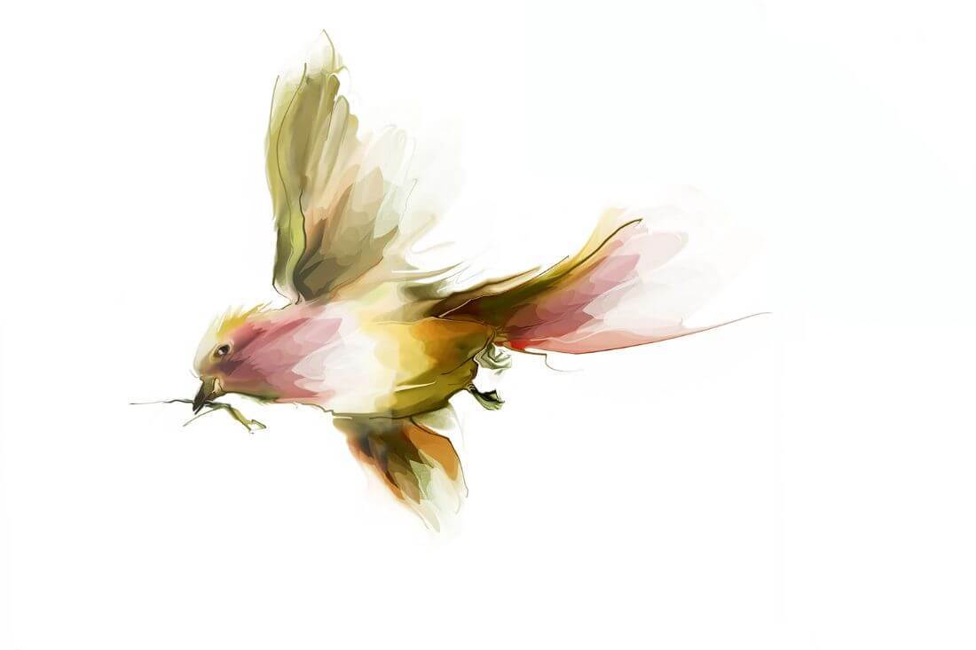 Flying Bird - Contemporary Painting - Bird Wildlife Art Print ...