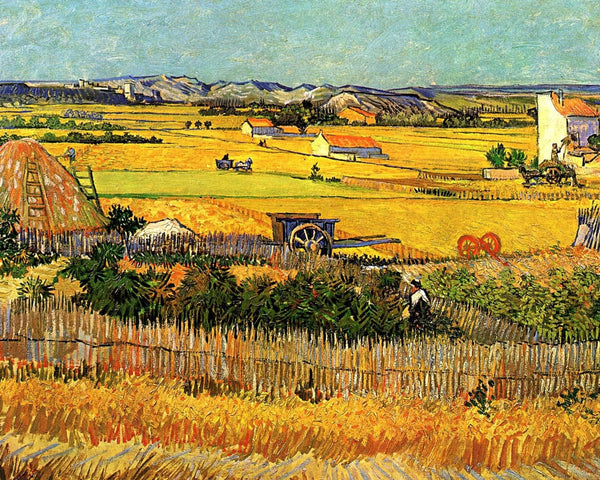 Harvest At La Crau with Montmajour in the Background - Canvas Prints