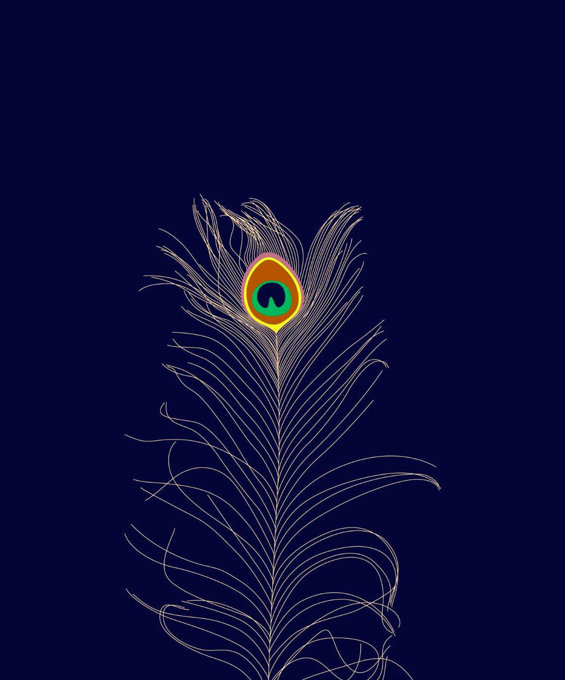 Minimalist Art - Peacock Feather - Posters by Christopher Noel ...