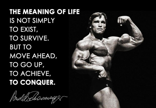 conquer arnold schwarzenegger poster