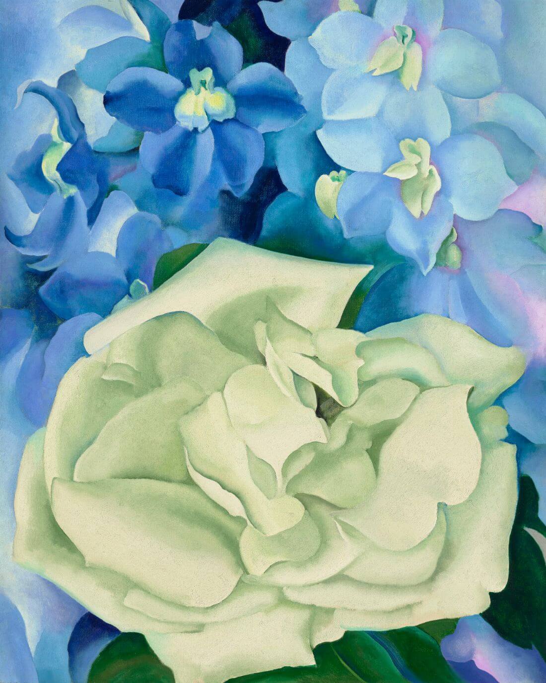 White Rose With Larkspur - Georgia O'Keeffe - Floral Painting ...
