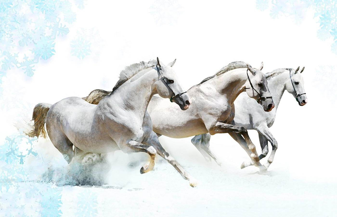 White Horses Running by Joel Jerry | Buy Posters, Frames, Canvas ...