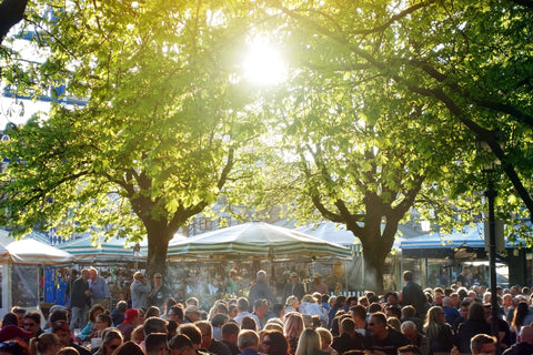 Munich-beer-gardens