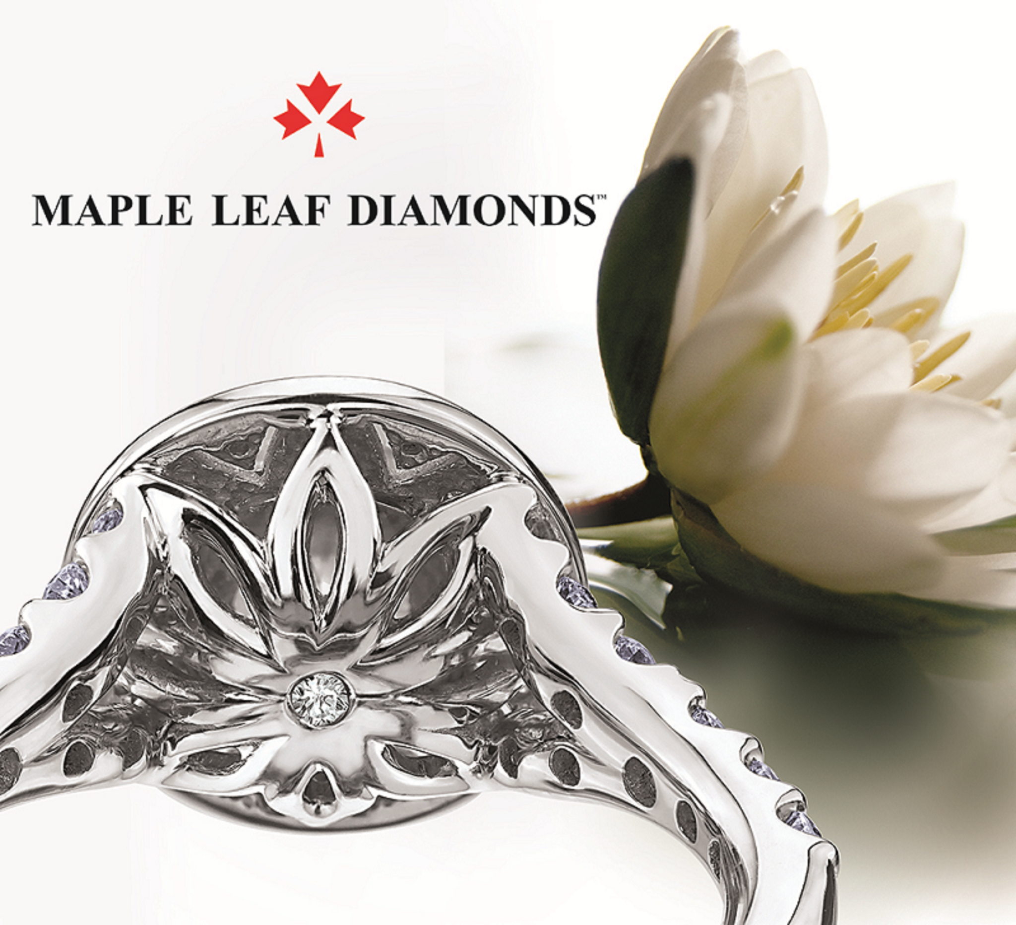 Maple Leaf Canadian Diamond 