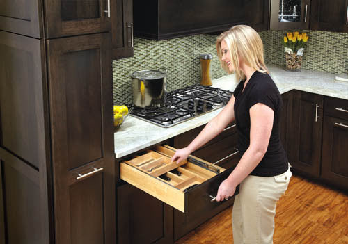 Double Tier Drawer Organizer Lafata Cabinets