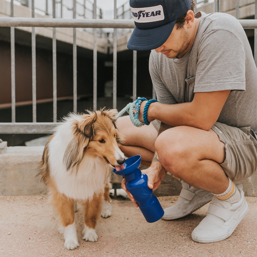 Classic Dog Travel Water Bottle