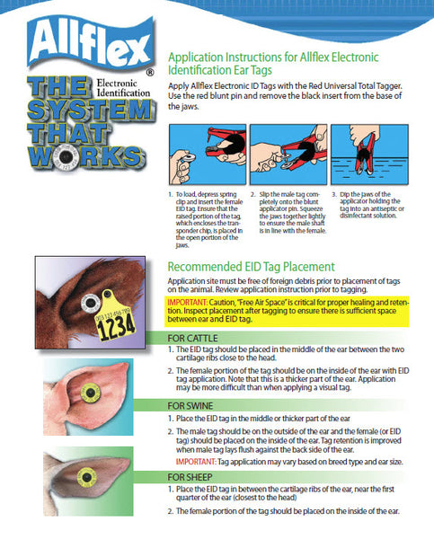 where to apply ear tags