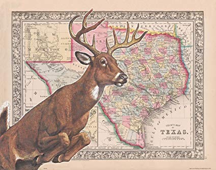 CCK sells Texas Wildlife TPWD ID Program tags