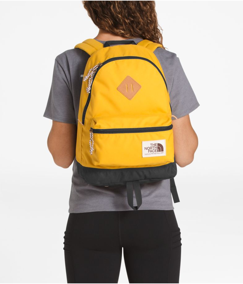 north face mini mini berkeley backpack