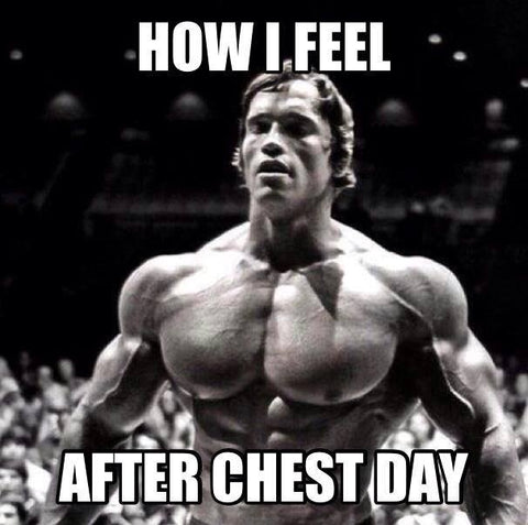 arnold, chest workout