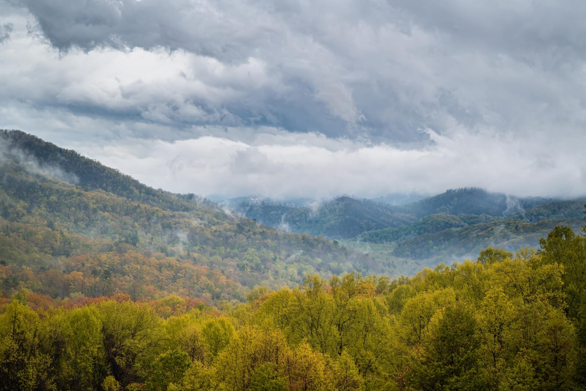 Camping in North Carolina Great Smoky Mountains National Park