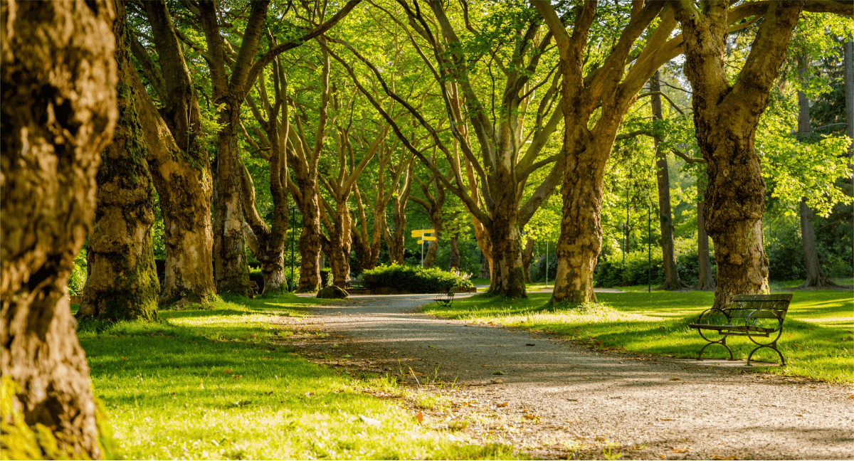 Lakewood Park Campground