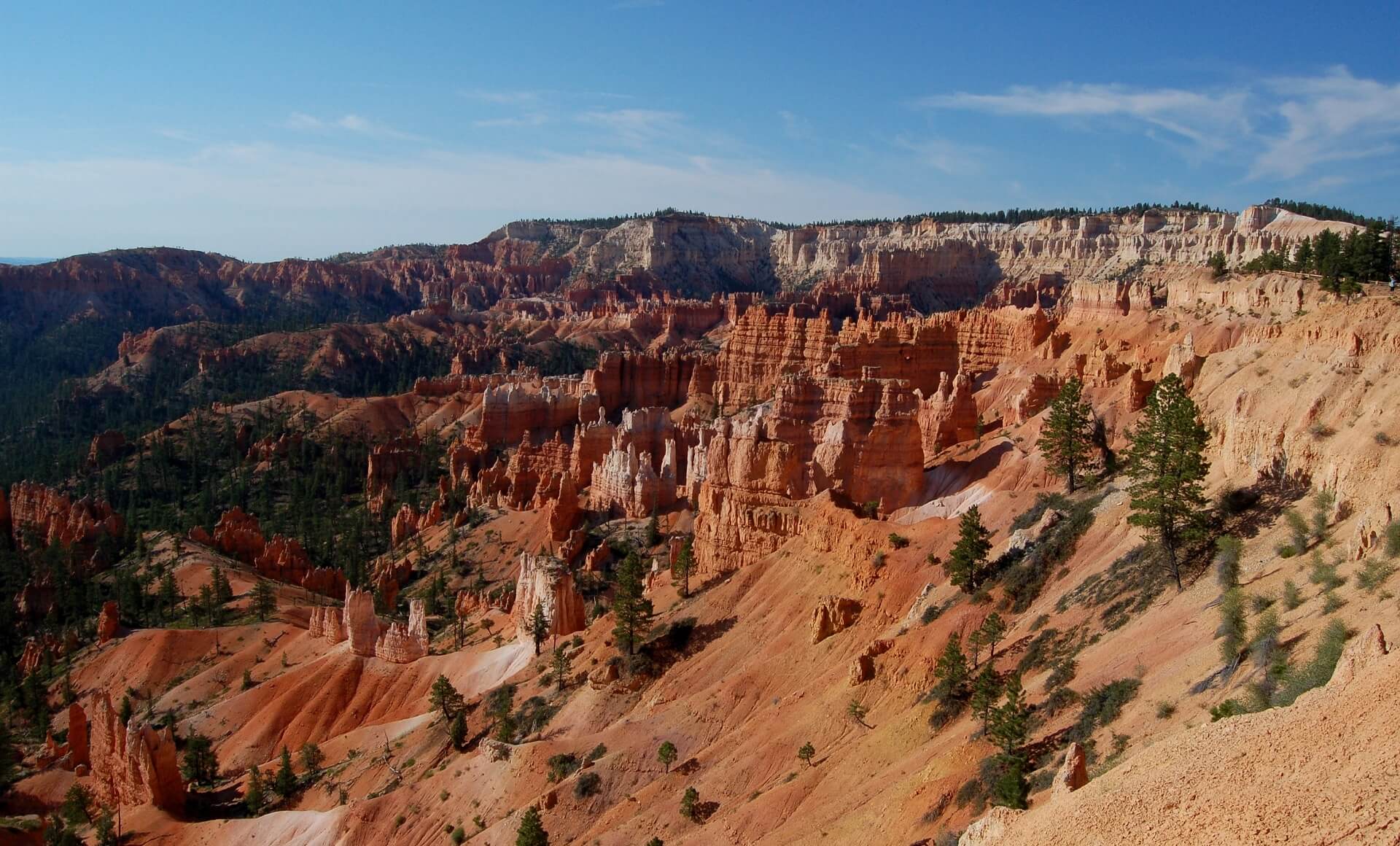 Camping in Arizona: Oak Creek Canyon