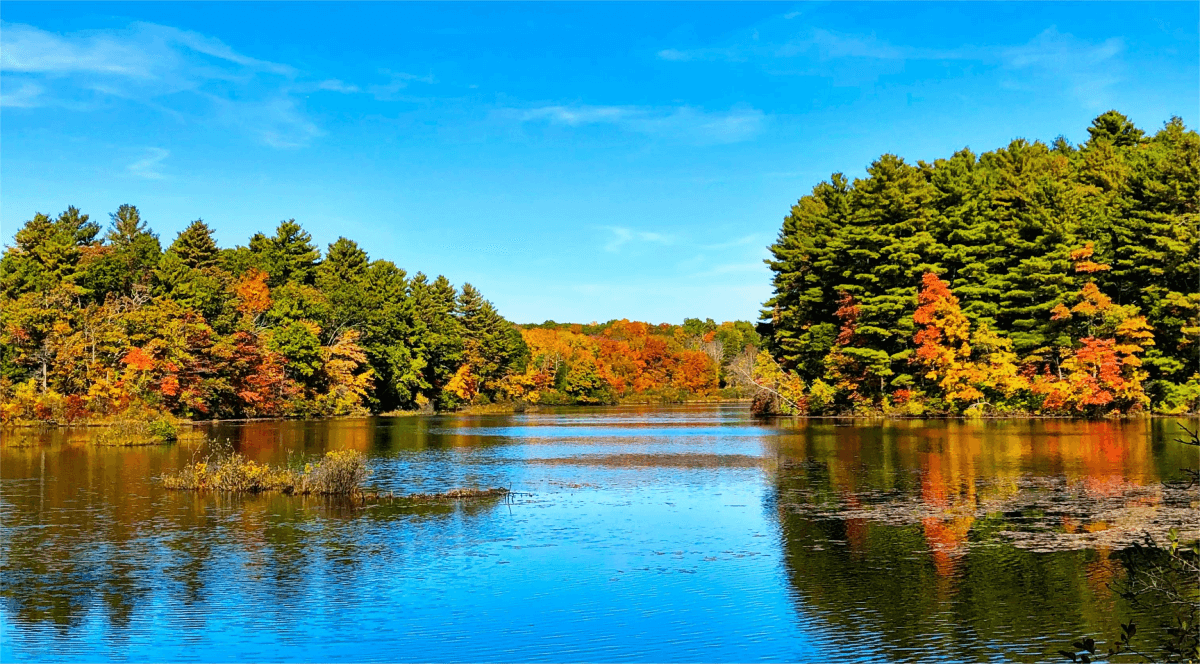 Pine Cradle Lake Family Campground