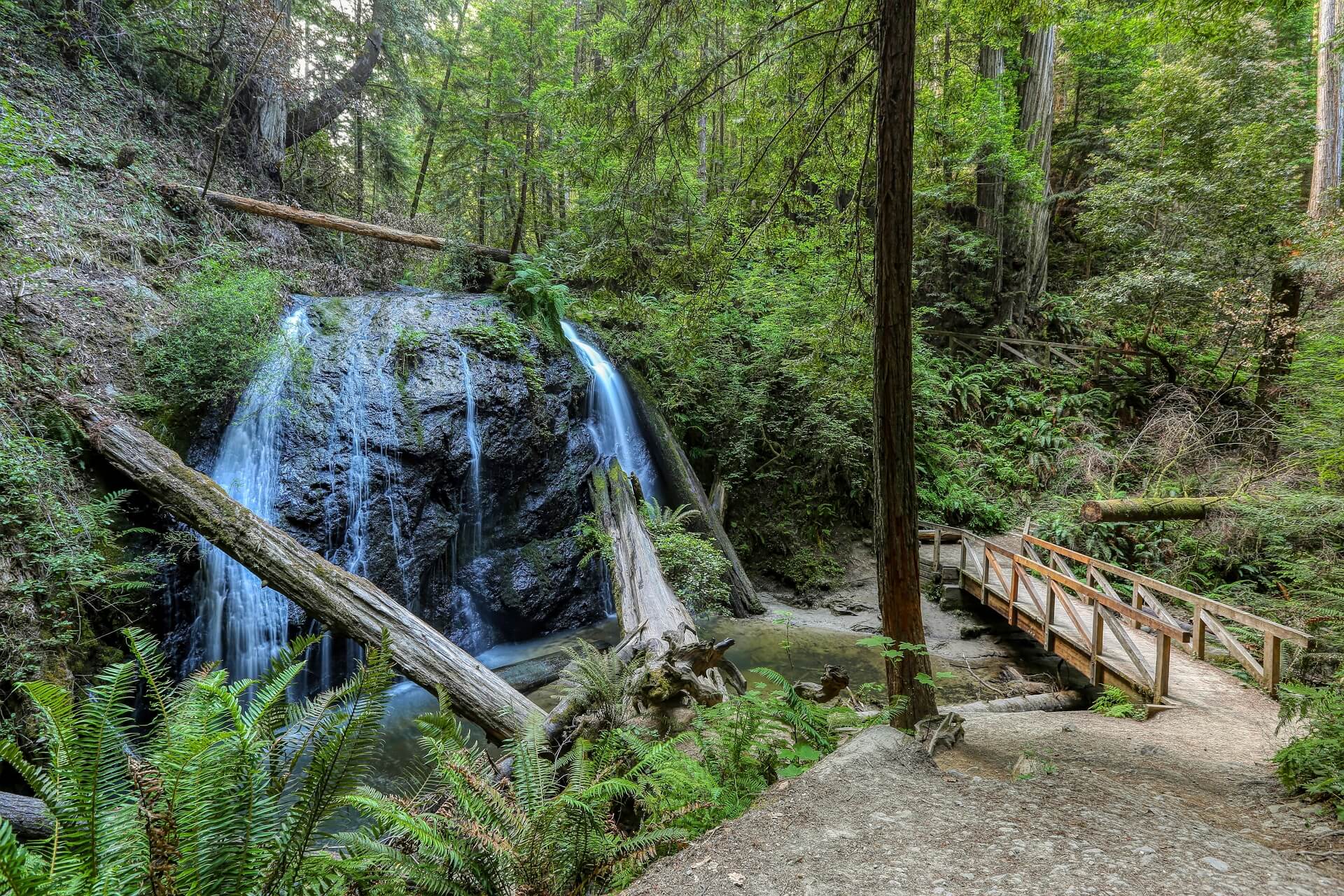 Russian Gulch State Park