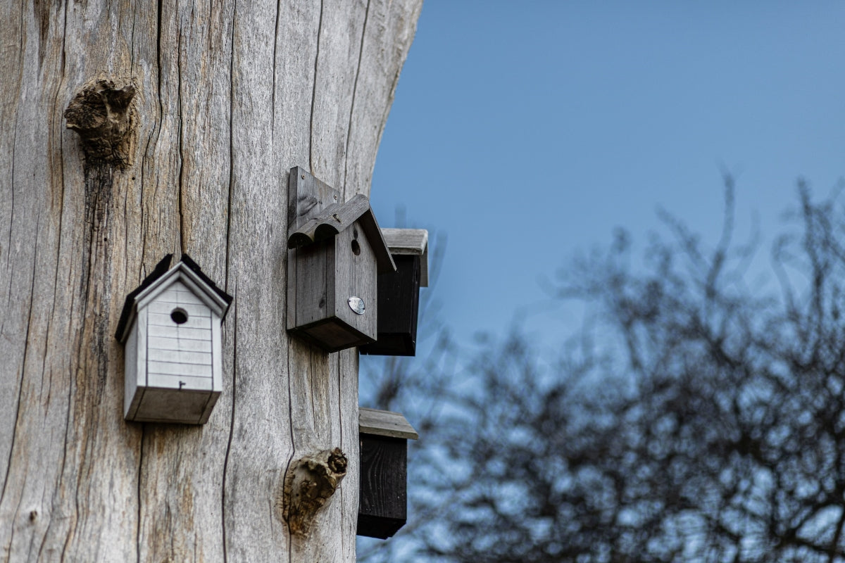 bird house gifts for gardeners