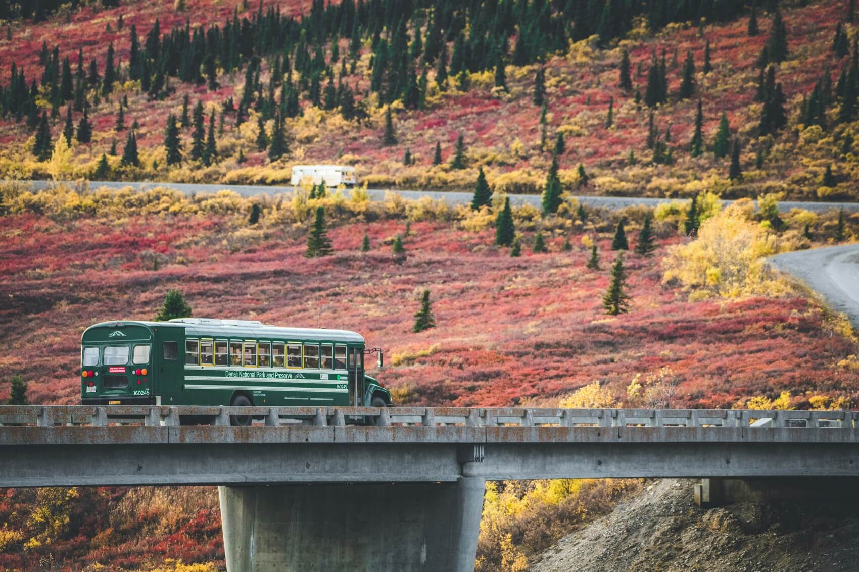 Denali State Park