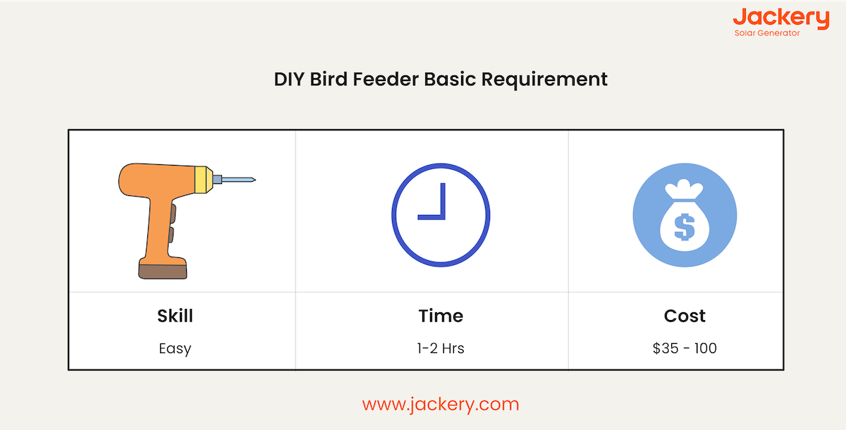 diy bird feeder basic requirements