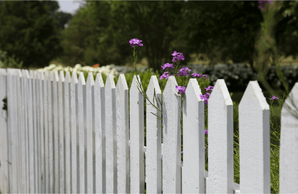 fencing budget backyard ideas