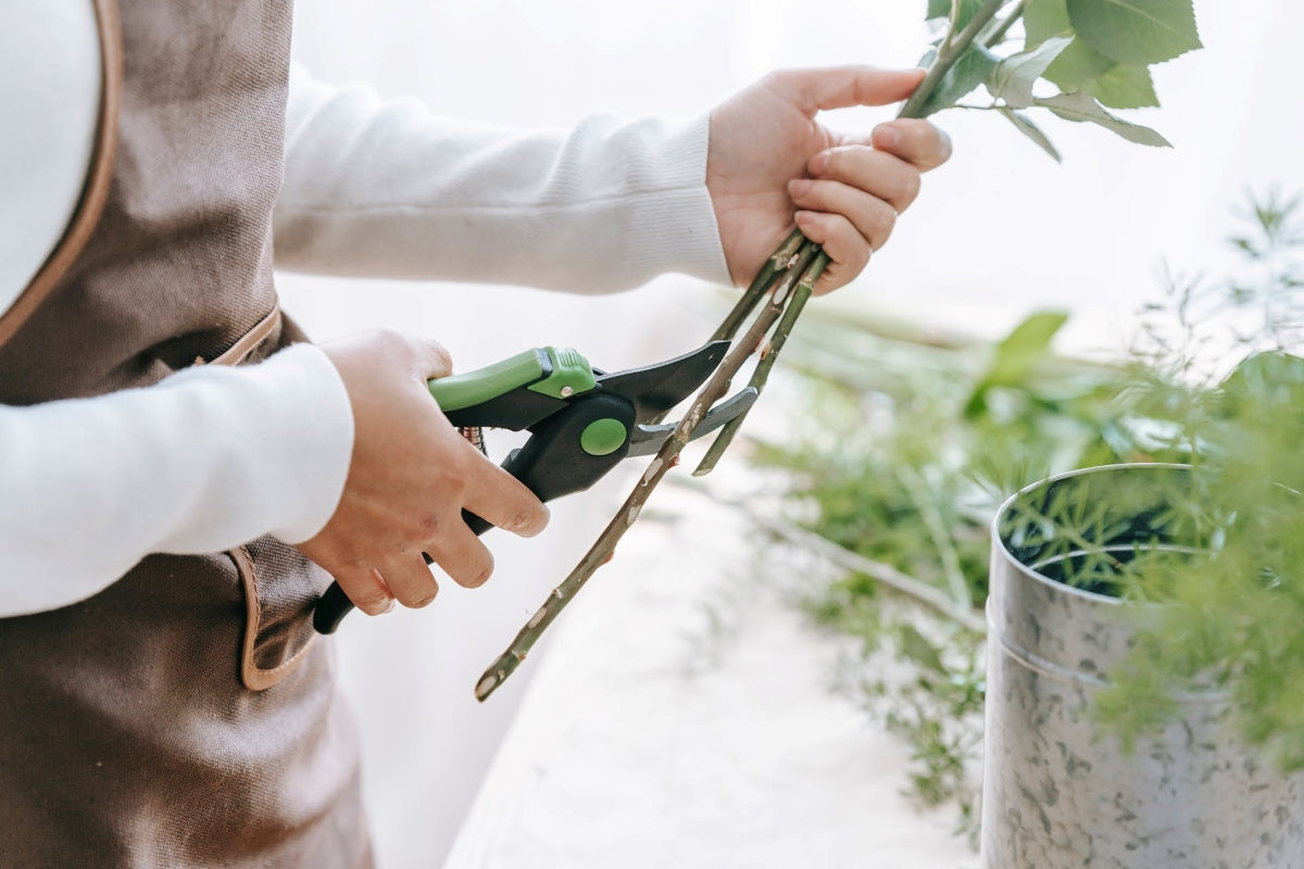 hand pruner gifts for gardeners