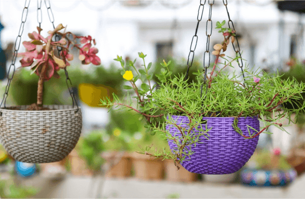 hanging flower pots small backyard idea