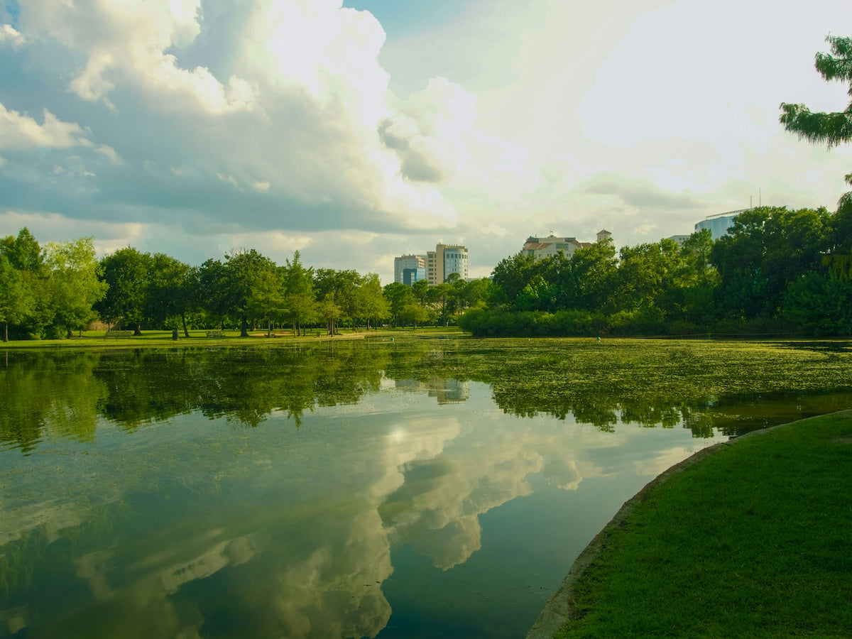 hermann park picnic in houston