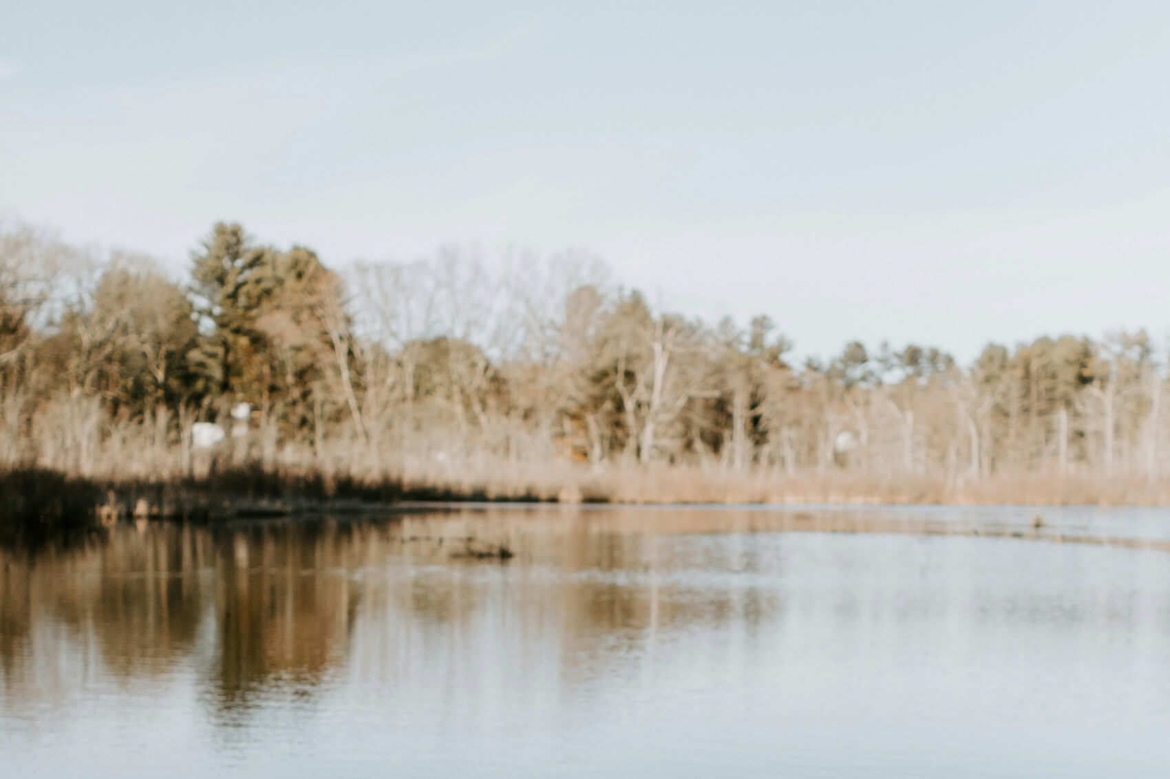 Jones Lake State Park