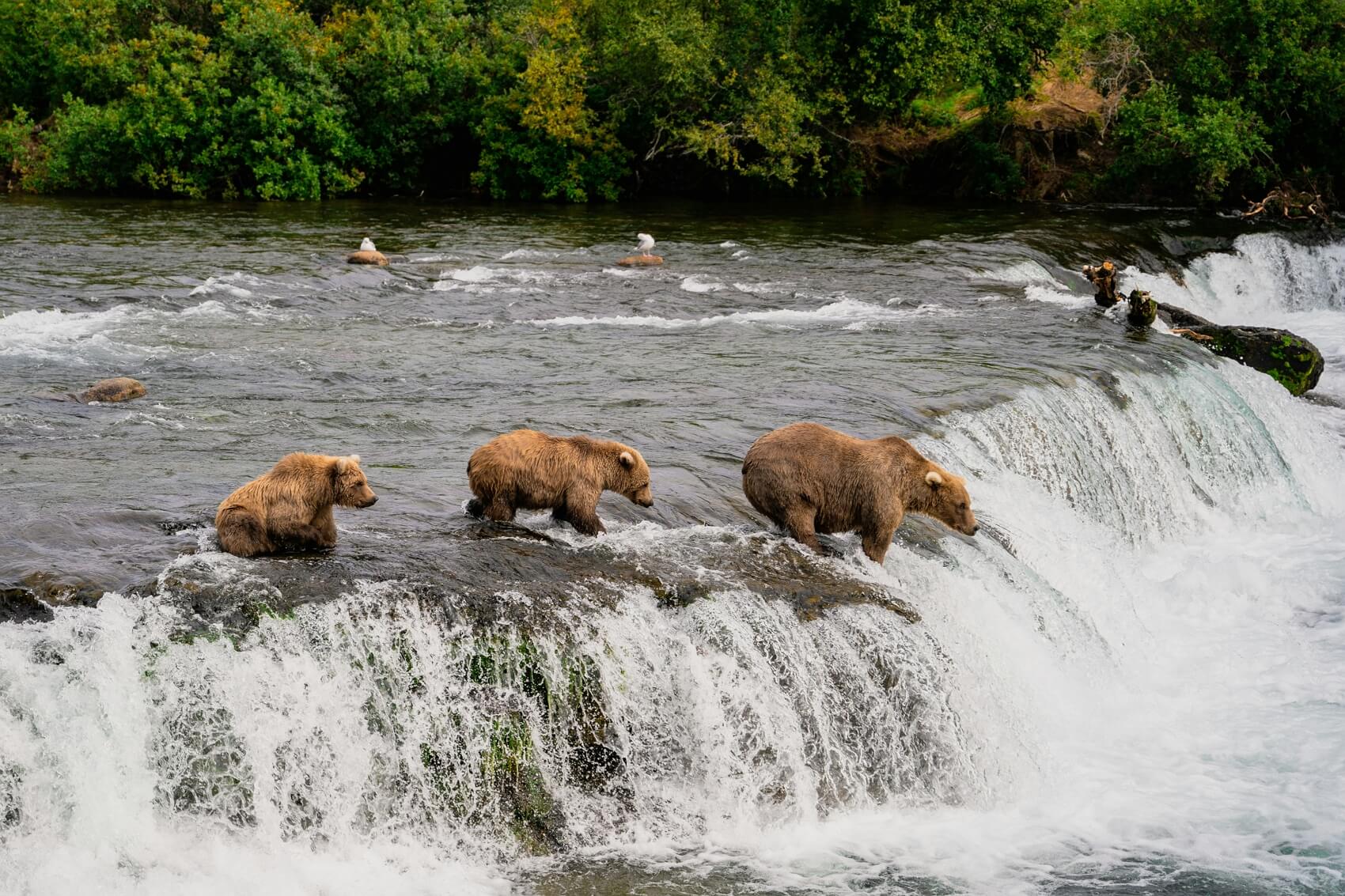 Katmai National Park