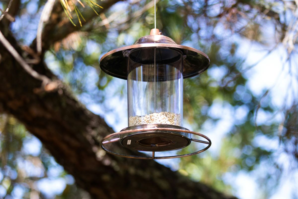 lamp diy bird feeder