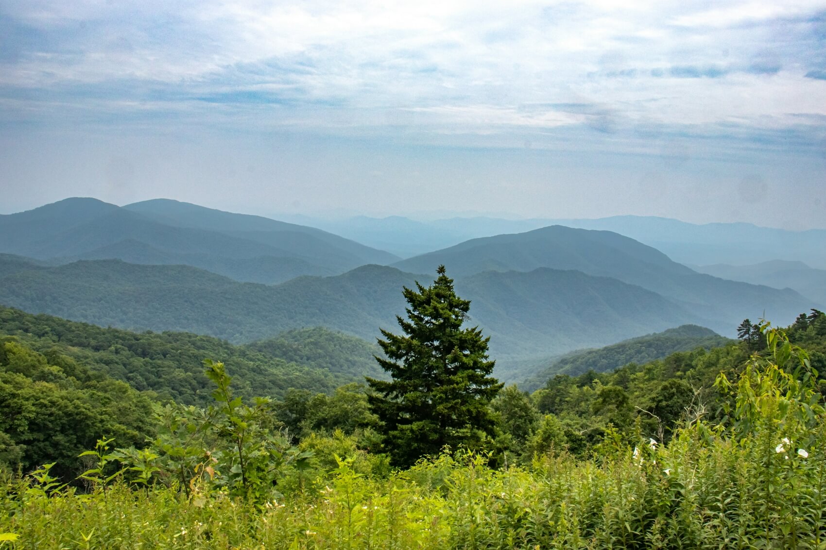 Mount Mitchell State Park