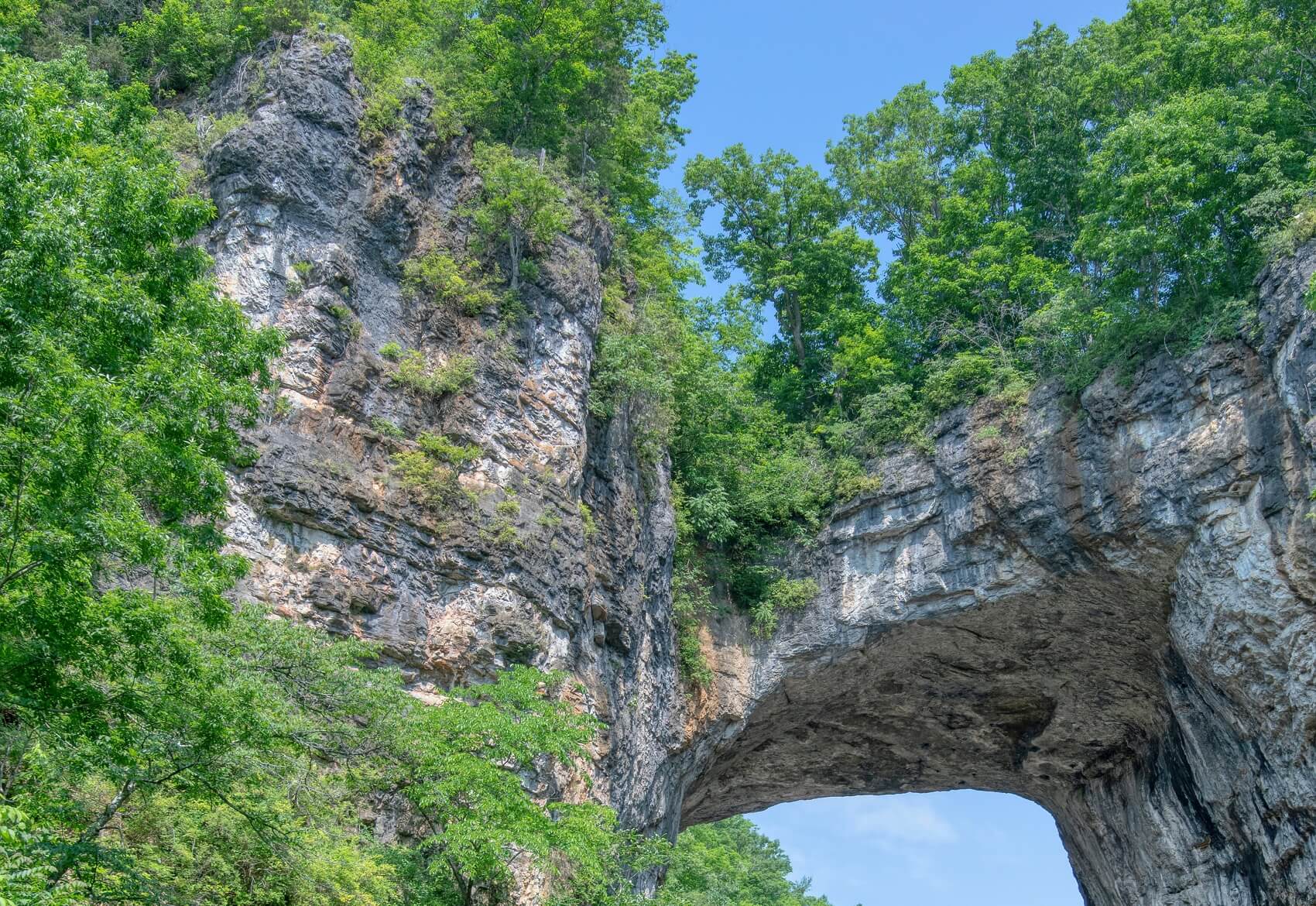 Camping in US Natural Bridge State Park | Kentucky