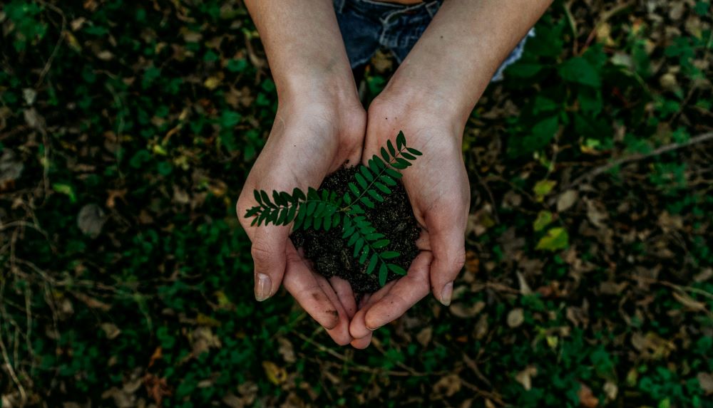 plant trees earth day activities