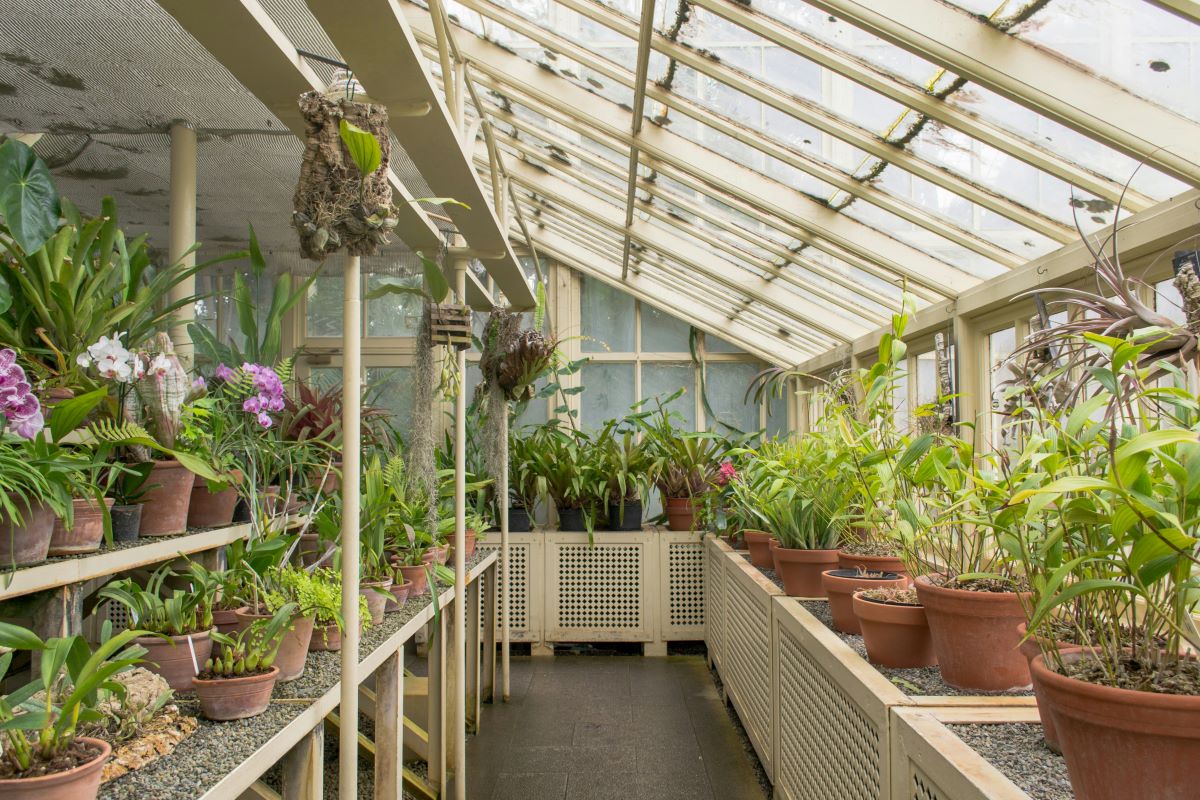 raised bed diy greenhouse idea