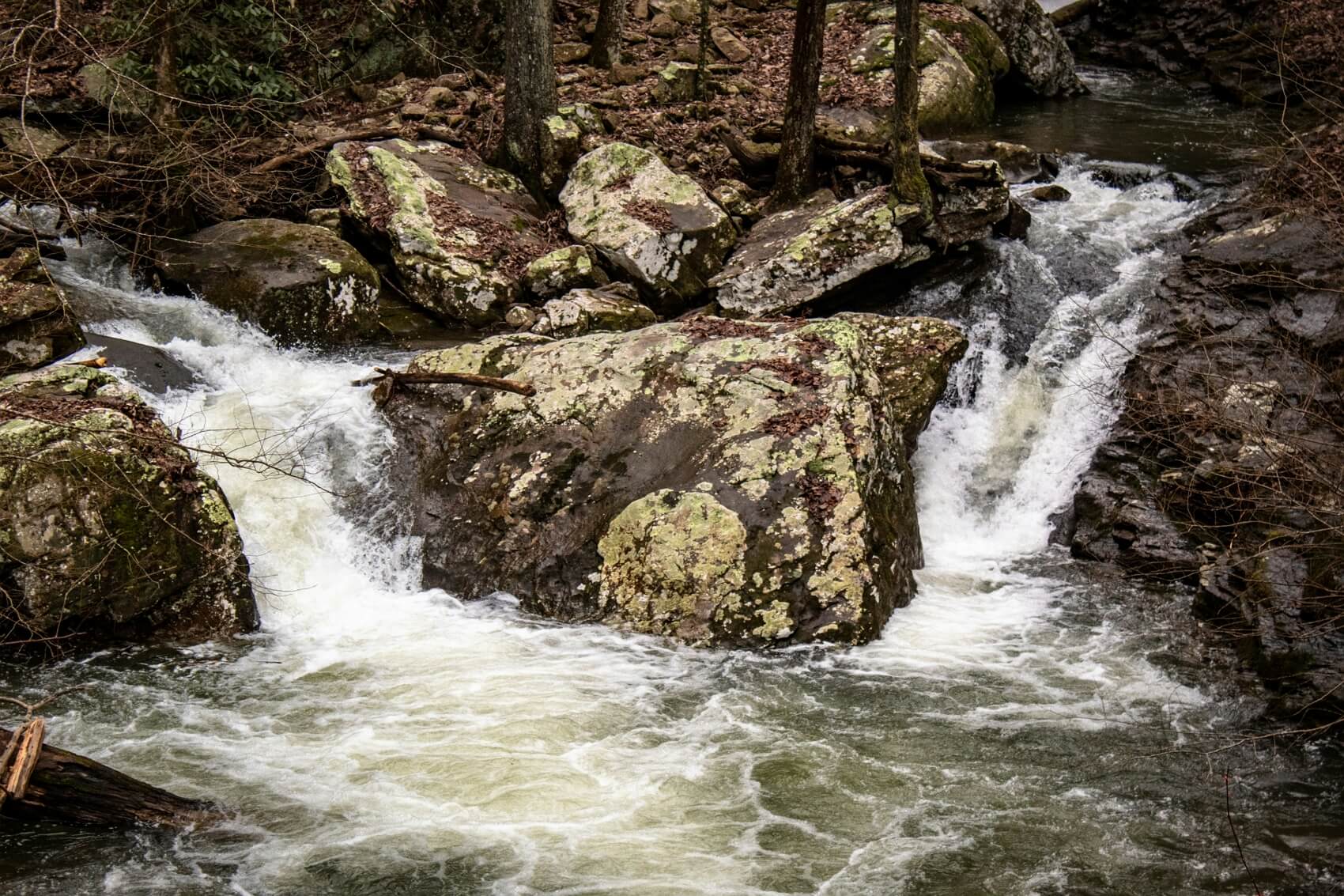 Skidaway Island State Park