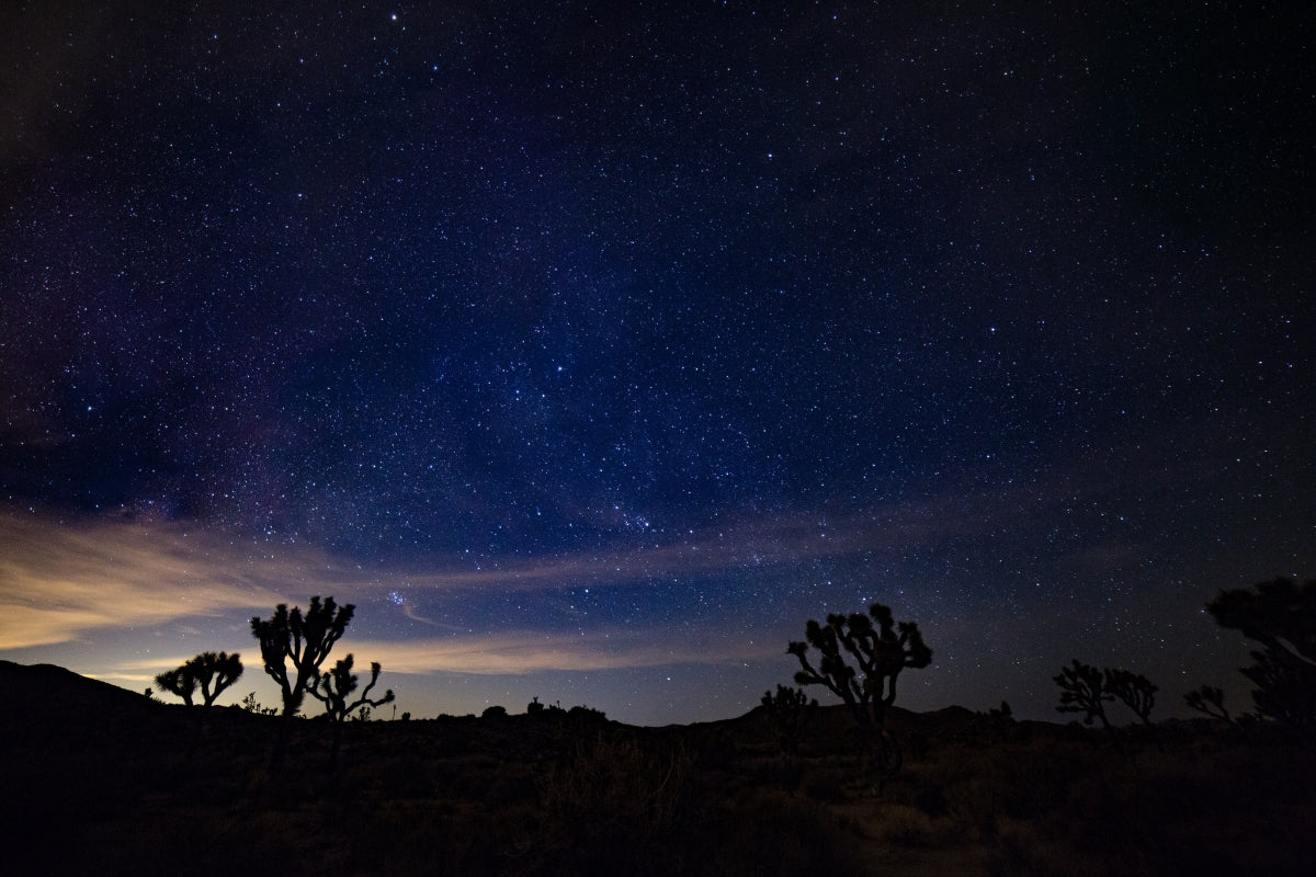 stargazing in joshua tree national park