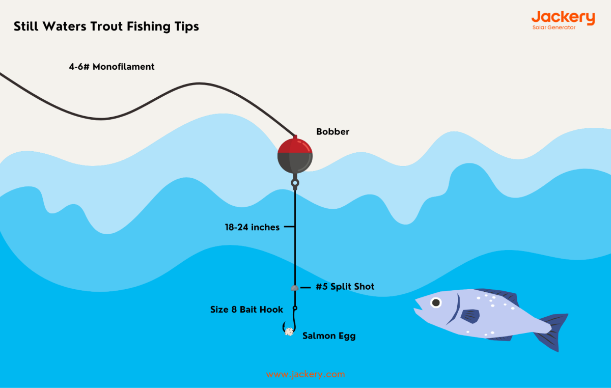 Trout Fishing 101: How to Catch Trout - Jackery