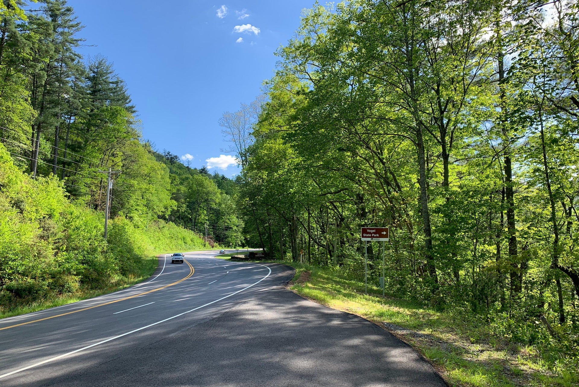 Vogel State Park