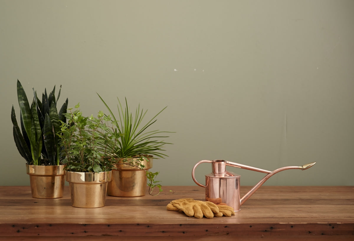 watering can gifts for gardeners