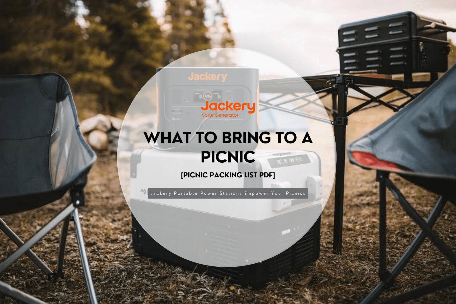 what to bring to a picnic