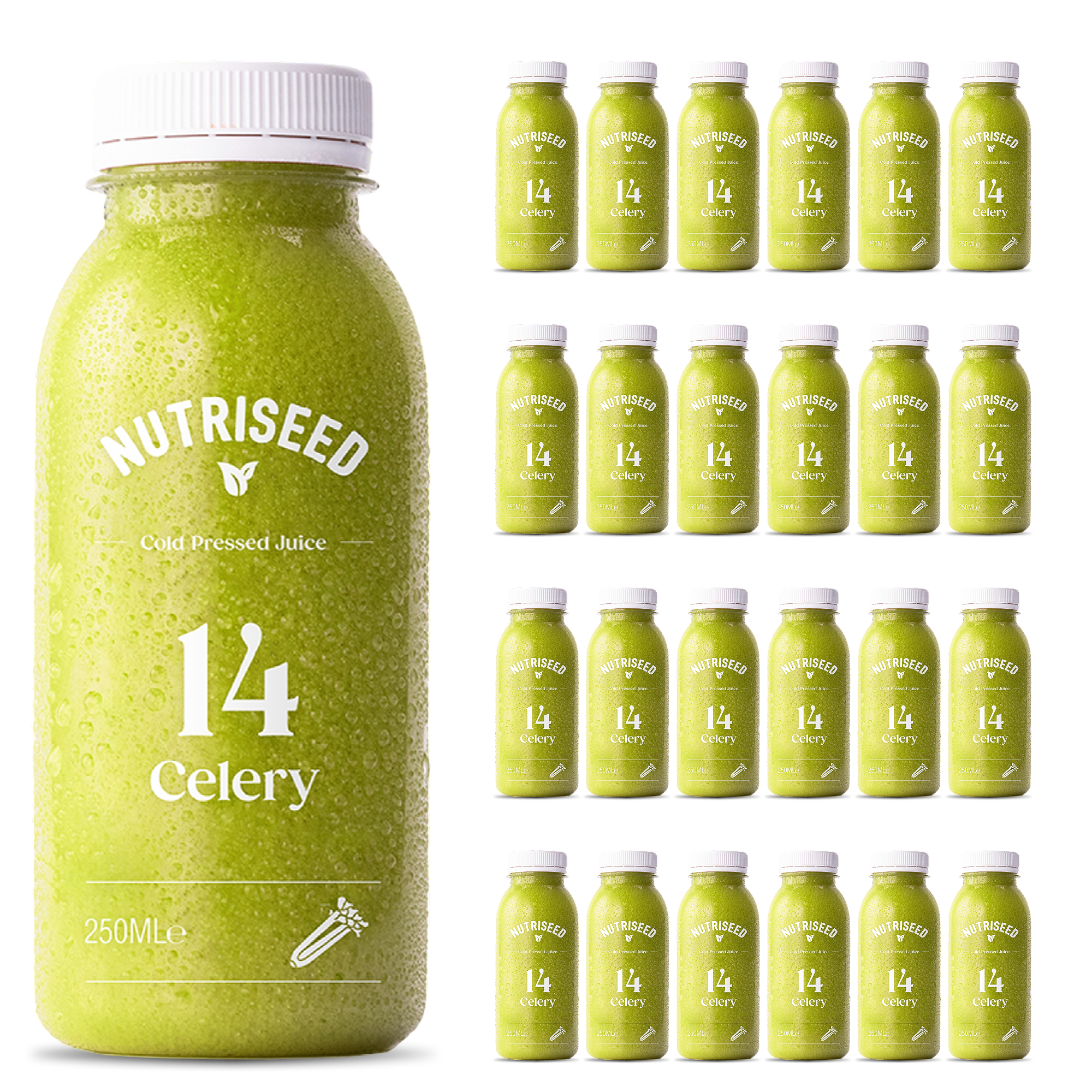 An image of Cold Pressed Celery Juice - 24 Bottles - Weight Loss Detox - Raw & Natural Juice...