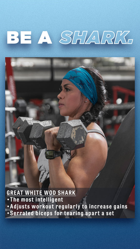 The Great White Shark Gym Member