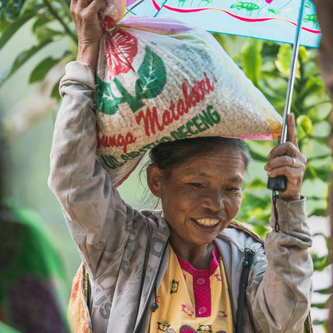 Sulawesi Toarco Tana Toraja Carrying Parchment Mission Coffee Co. 