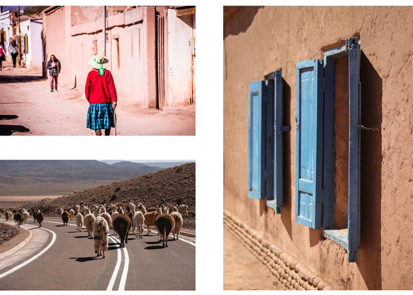 Communities in Atacama desert